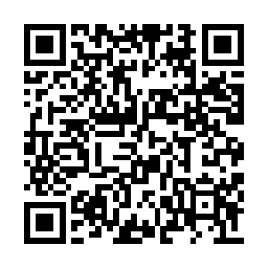 胡莉肯定是出了事我们先到医学院胡莉家去看看二维码生成