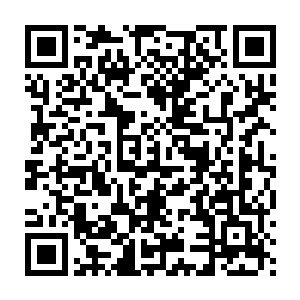 胡赛武装其实正在完成一个从游击队性质的队伍向一支正规军转变二维码生成