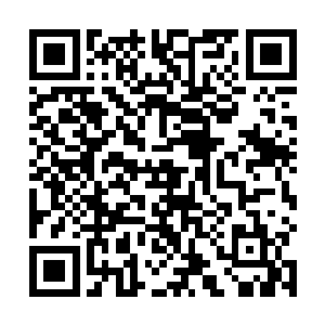 胡车儿仿佛已熟悉了马纵横这时不时会一鸣惊人的习惯二维码生成