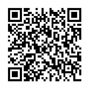 胥宁从洛氏秘书的手里拿过了四大股东的全部资料二维码生成