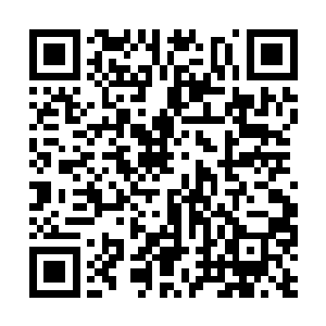 胥宁此刻正在办公室里跟靳子洛一起核对成本数据二维码生成