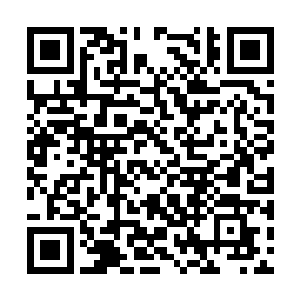 胥尔升找了民政局的负责人在下班后给他俩开后门二维码生成
