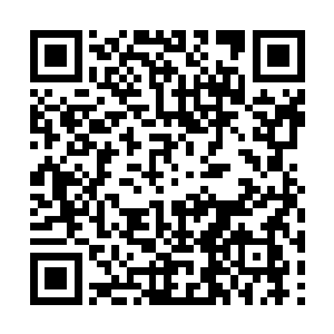 胳膊上佩戴着赤潮袖标的武装分子收起了手里的枪二维码生成