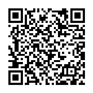 胸口飙射出鲜血的熊啸突然觉得整个世界都安静了二维码生成