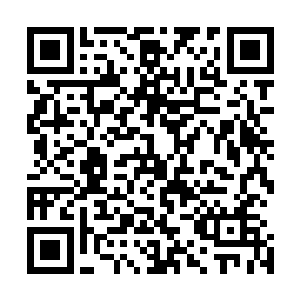 能不能从柏林电影节带走个仨瓜俩枣的哪怕是个安慰性奖项二维码生成