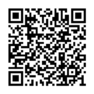 能不能让我们看看传说中的黑羽究竟是什么样啊二维码生成