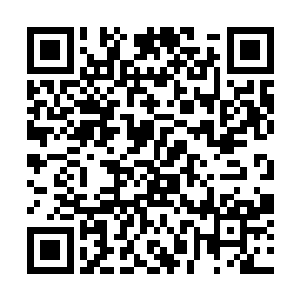 能享受多久仙王带来的财富和荣耀都是个大大的问题二维码生成