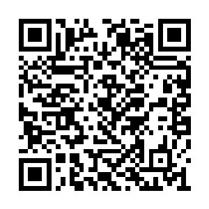 能从这里安然离开的修士不会再甘于平凡的生活二维码生成