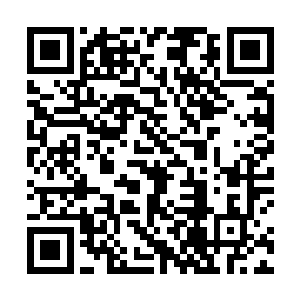 能令碳基智慧生命的一生骤然间变得丰富和厚重亿万倍二维码生成