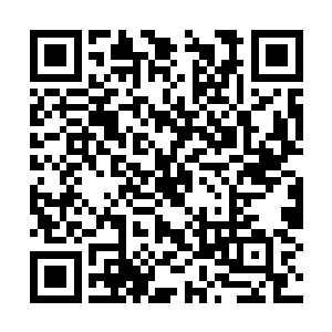 能以种植灵药为职业的修士想必更享受物质生活的二维码生成