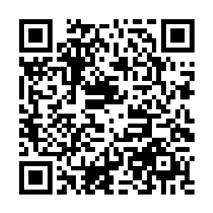 能发挥的能量都被燕家兄弟给用完了再用还得补充能量二维码生成