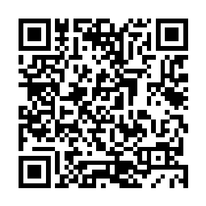 能和小樱一起看到这樱花美景并且享受了小樱的天籁歌声二维码生成