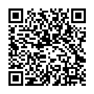 能和小维杰里读一个幼儿园的家庭自然也都是非富即贵二维码生成