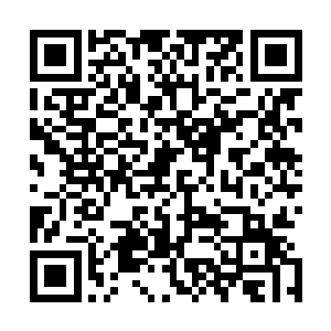 能在二十天左右的时间靠着自己的本事跑到十二万公里以外二维码生成