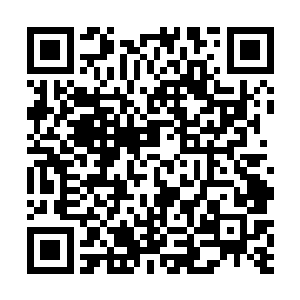 能在亚特兰蒂斯帝国拿到居留权也是很了不起的事儿了二维码生成