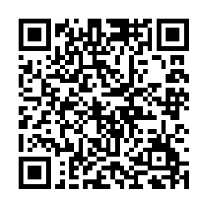 能在尚海这样的超级都市组织这种规模的刺杀行动二维码生成