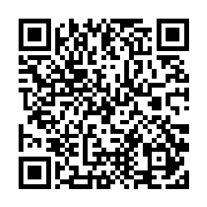 能在火场里面找到的除了灰烬之外就没有任何东西了二维码生成