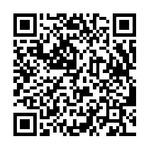 能在第一重考核里面凭借体质便维持这种游行速度的二维码生成