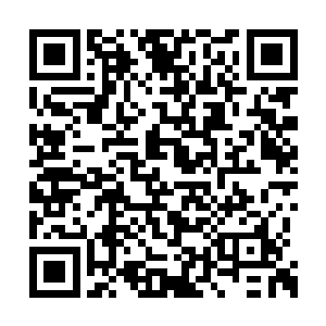 能在蓝宝石背甲上留下那样的划痕已经不容易了二维码生成