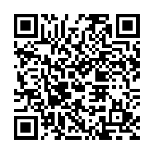 能在这一大片青山绿水间安家顾家的底蕴由此可见一斑二维码生成