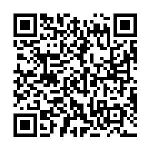 能在这样的一个专门培养皇族皇室的大学里当教授……二维码生成