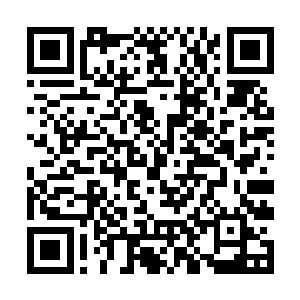 能够一代一代传承记忆下来的他当然是知道得最多的二维码生成