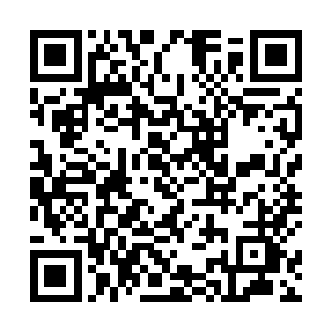 能够为詹姆斯麦卡洛在中国举办一次特别的电影周届时二维码生成