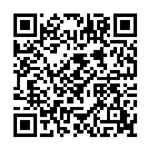 能够从最低等级的修真界超越万僵而出的小僵尸二维码生成