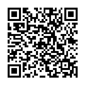 能够以局外人的身份掺和到这次王世子的私事当中二维码生成