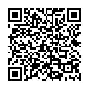 能够以阳人身份成为阴间监察殿殿主的人又怎么会普通二维码生成
