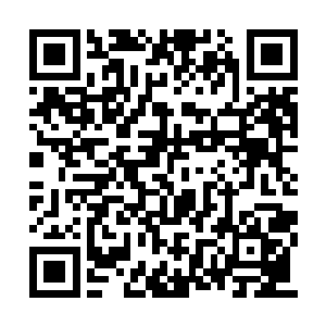 能够使用的好狙击枪这种神器的身手也大多不赖二维码生成