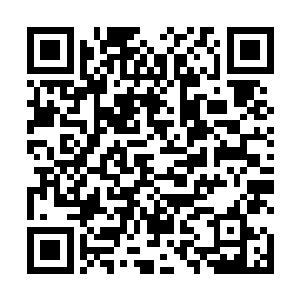 能够克制幽冥鬼火的力量和天材地宝可以说是少之又少二维码生成