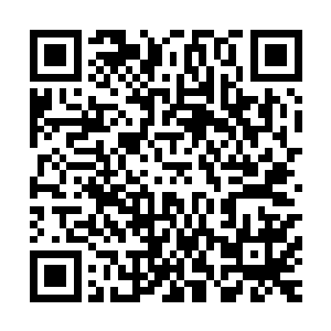 能够再次见到这种曾经带着妖族走向辉煌的法则再次重现人间二维码生成