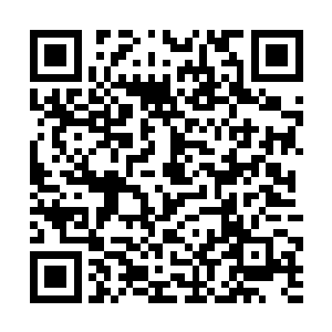 能够动用这种国际头号走私犯运送的东西一定不简单二维码生成