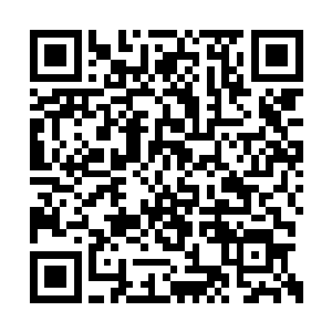 能够吞噬宇宙中最强大的力量智慧生命的情感和二维码生成