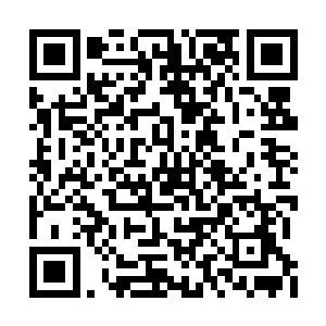 能够吸纳一丁点的元气便已经算得上惊才绝艳了二维码生成