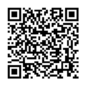 能够在域外战场上存活下来的都该是神识强大的修士二维码生成