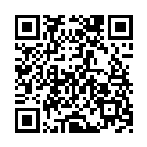 能够在这遇见洛水兮已经是很巧的一件事了二维码生成