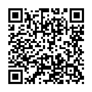 能够在远行者过来找麻烦的时候过来帮他们的人二维码生成
