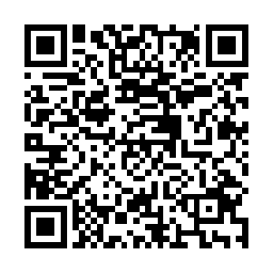 能够坐在这里的都是在隐世大陆内有着相当身份的修士二维码生成