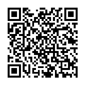 能够坐在这里进行观看的人都没有任何一个是好惹的二维码生成