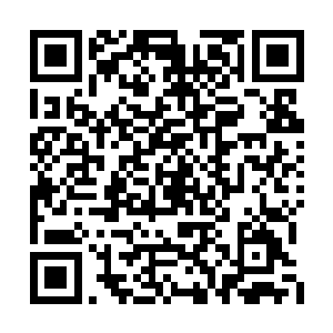 能够坚持这么长时间已经令凤火舞十分的震惊了二维码生成