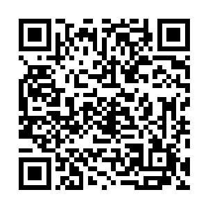 能够增加修炼速度的宝物对于他们来说都是传说中的东西二维码生成