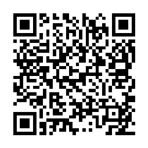 能够增加恐惧抗性的物品怎么说都是可遇而不求的二维码生成