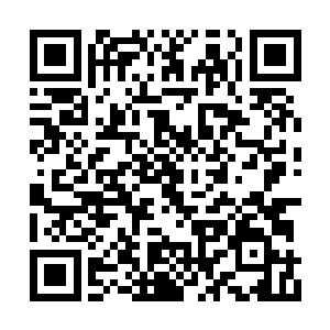 能够如此近距离地被笼罩在势中领悟丹道的玄妙二维码生成