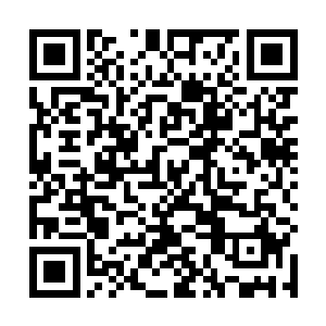 能够将人类的信息交流和知识传承效率提升成百上千倍二维码生成