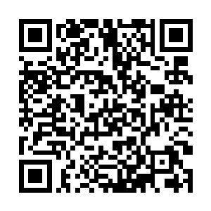 能够帮助白昊快速提升灵魂强度的貌似只有第一法了二维码生成