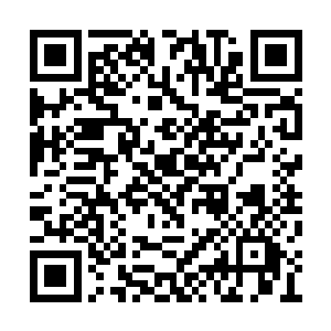 能够幻化成为人形根本就不是什么奇怪的事情啊二维码生成