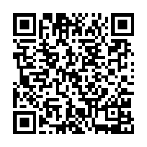 能够拥有一件混沌至宝就已经算是天大的机缘了二维码生成