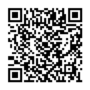 能够拿出金色的天机令的绝对不会超过两掌之数二维码生成